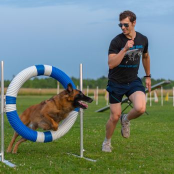 Fast Track Canine - Pet Training Near Me Fast Track Canine - Pet Training Near Me