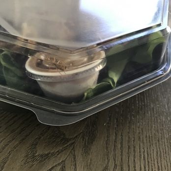 la Madeleine - A cockroach in our food!! - Bakeries Near Me - Bailey's Crossroads, Virginia la Madeleine - A cockroach in our food!! - Bakeries Near Me - Bailey's Crossroads, Virginia