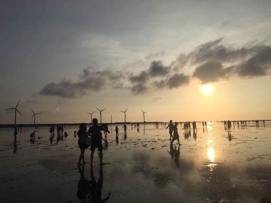Gaomei Wetlands by null