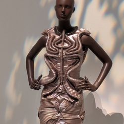 Brooklyn Museum - September 26, 2026; Iris Van Herpen.