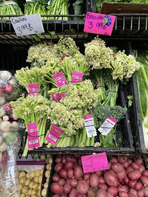 Maisonneuve Market by null