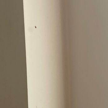 BJB Properties - Roach infestation - Apartments Near Me - Chicago, Illinois