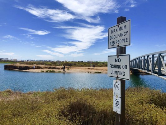 Wetlands & Wildlife Care Center by null