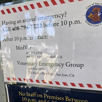 Veterinary Emergency Group - This information was posted outside san jose animal care center but per Sean at veg they do not have contract with City. Beware - Emergency Pet Hospital Near Me - San Jose, California Veterinary Emergency Group - This information was posted outside san jose animal care center but per Sean at veg they do not have contract with City. Beware - Emergency Pet Hospital Near Me - San Jose, California