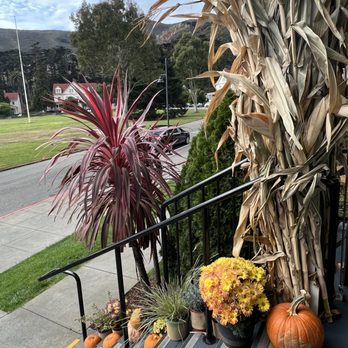 Farley - Outside - Bars Near Me - Sausalito, California