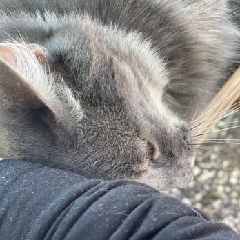 Tuxedo Cat's Coffee - Otto - Coffee & Tea Near Me - San Antonio, Texas