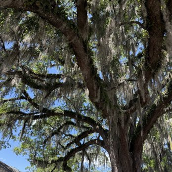 Leon's at Lake Ella - Desserts Near Me - Tallahassee, Florida