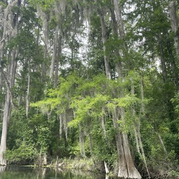 Ichetucknee Springs - Rafting/Kayaking Near Me - Fort White, Florida Ichetucknee Springs - Rafting/Kayaking Near Me - Fort White, Florida