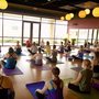 Photo of Perennial - Yoga, Wisdom, Community