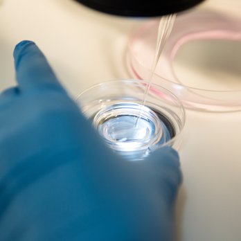 Extend Fertility - Fertility Near Me - New York, New York