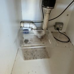 Captain D's - Those are roaches and bugs under the soda fountain!