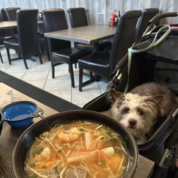 Jenny Pho - Vietnamese Near Me - Issaquah, Washington