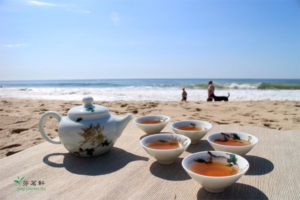 Fang Gourmet Tea by null