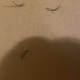 Close up so you can see they were not my natural lash shedding, just the extensions Close up so you can see they were not my natural lash shedding, just the extensions