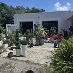 Vivo Gardens