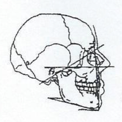 Olympia Oral and Maxillo-Facial Surgery