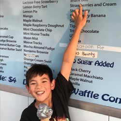 80 Flavours Ice Cream - Logan's Shark Bite