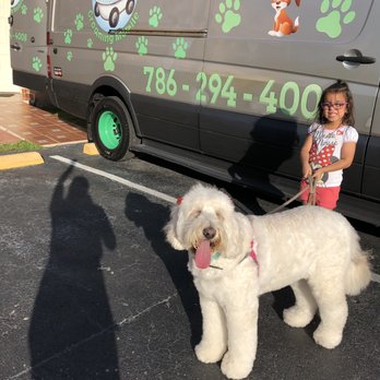 Greenland Pet Grooming Mobile - Pet Groomers Near Me Greenland Pet Grooming Mobile - Pet Groomers Near Me