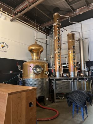 Root Wild Kombucha by null