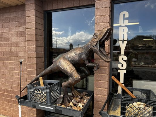 Dixie Rocks and Fossils