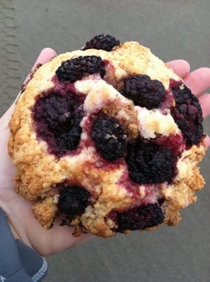 The Pacific Way by null