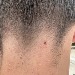 Southern Gentleman's Barbering Company - The barber nicked my son.