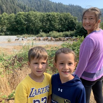 Adventure KT RV Rentals - A hear of Elk at Klamath River - RV Rental Near Me - Santee, California