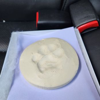 SPCA Serving Erie County - Paw prints - Animal Shelters Near Me - Buffalo, New York SPCA Serving Erie County - Paw prints - Animal Shelters Near Me - Buffalo, New York