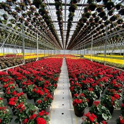 Green Valley Greenhouse