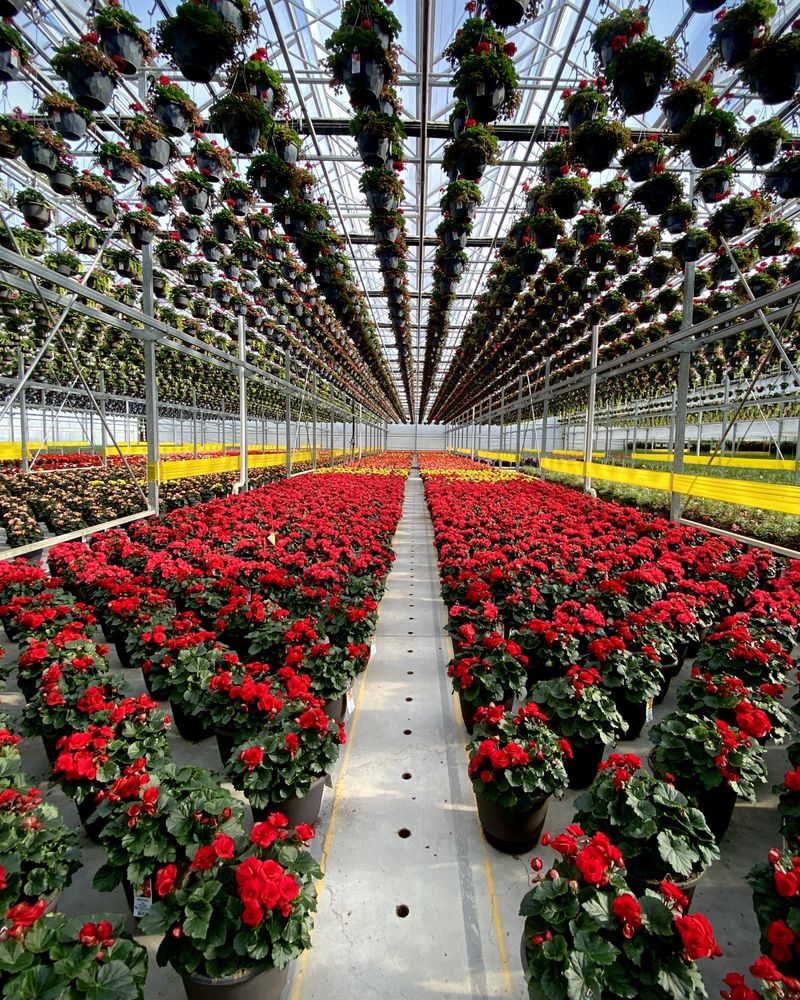 GREEN VALLEY GREENHOUSE - Updated July 2026 - 14 Photos - 6530 Green ...