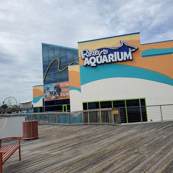 Ripley's Mirror Maze - Outside - Aquariums Near Me - Myrtle Beach, South Carolina Ripley's Mirror Maze - Outside - Aquariums Near Me - Myrtle Beach, South Carolina