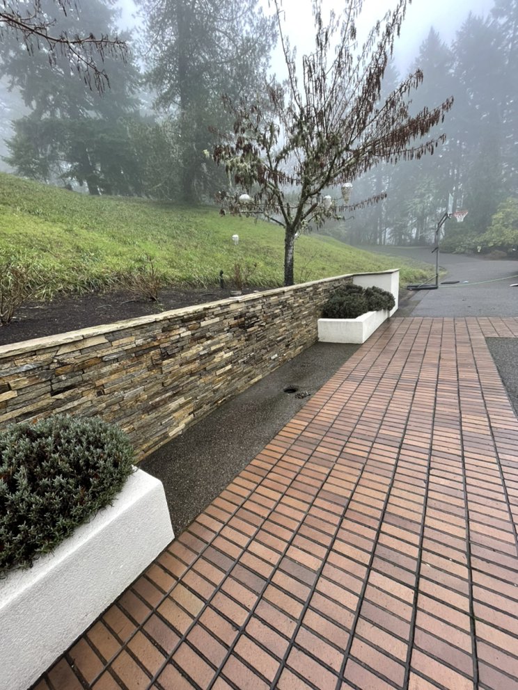 Slide of Busy Bee Drain