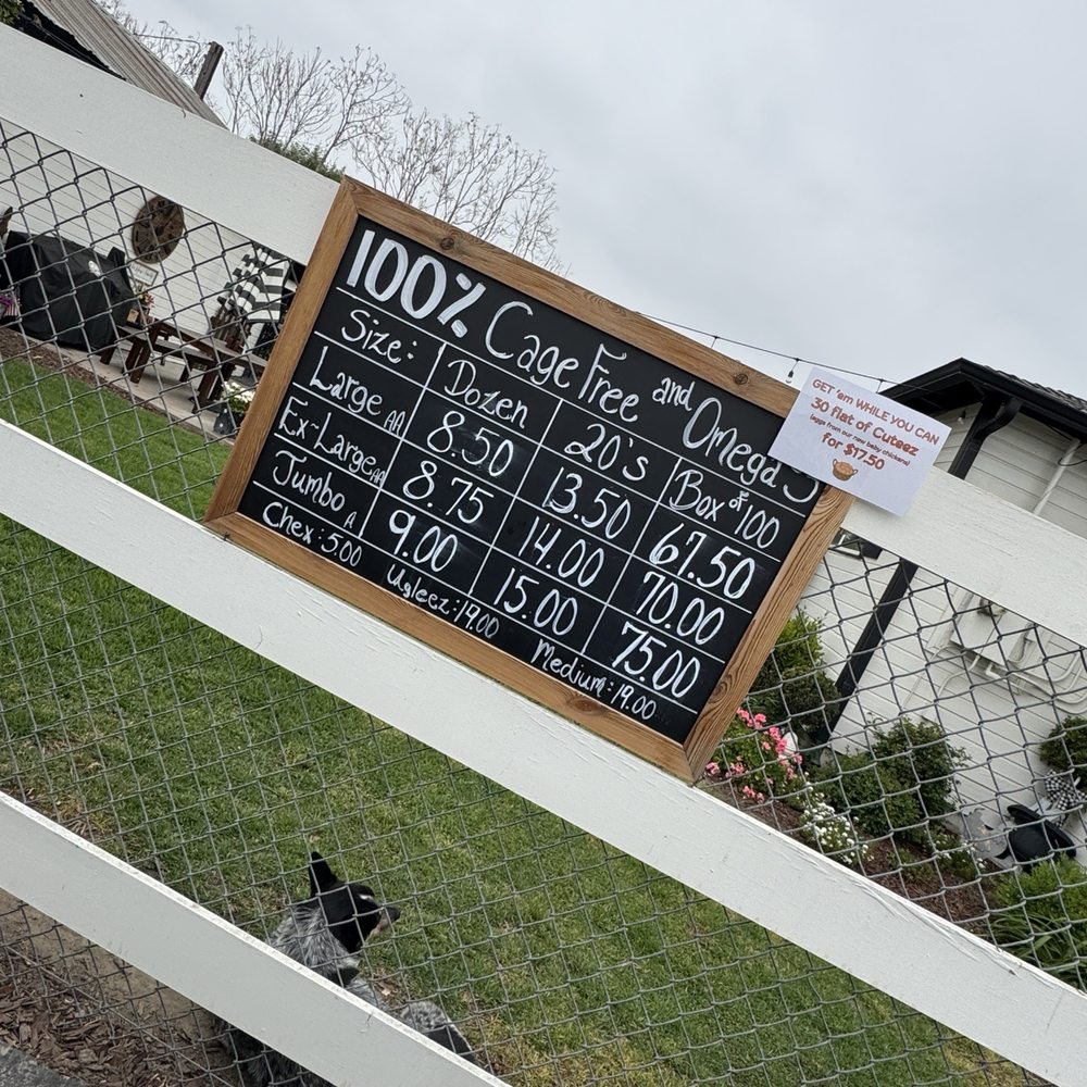 Billy's Egg Farm - Reasonable prices - Specialty Food Near Me - Chino, California
