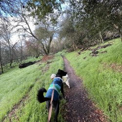 Del Paso Regional Park