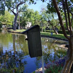 Curtis Park
