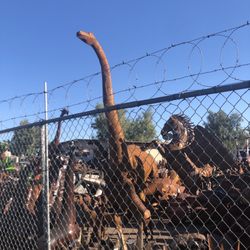 Baja Imports - This damn Brontosaurus: AYKM?! I'd love to have in my yard but I'm in a condo...