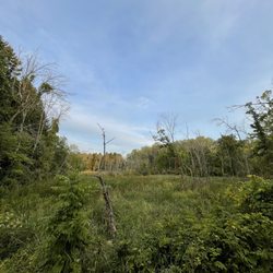 Long Lake Recreation Area - Campsite view!