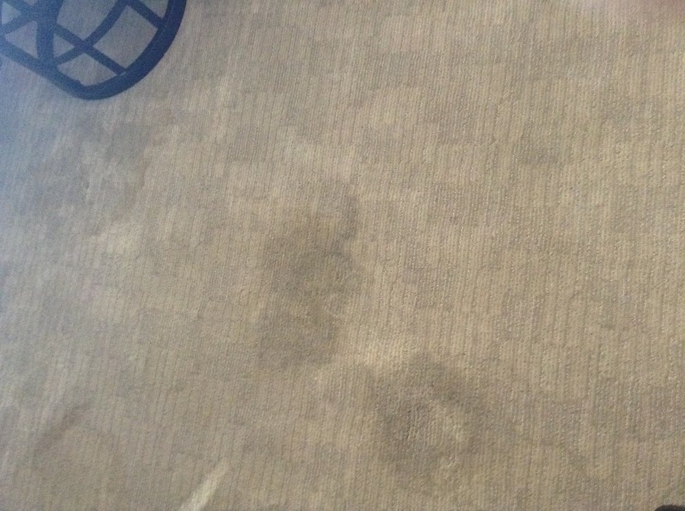 ROSEVILLE STAIN PRO CARPET CLEANING SERVICE 1148 Conroy Ln, Rocklin