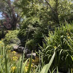 Casa De Benavidez - Beautiful patio