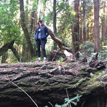 Samuel P Taylor State Park - Parks Near Me - Lagunitas, California