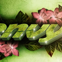 Envy Salon