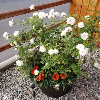 Armstrong Garden Centers - Nurseries & Gardening Near Me - Long Beach, California Armstrong Garden Centers - Nurseries & Gardening Near Me - Long Beach, California