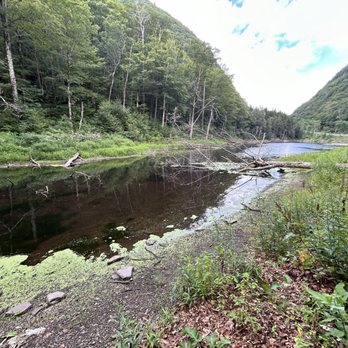 Adventure Untamed - Tours Near Me - New York, New York
