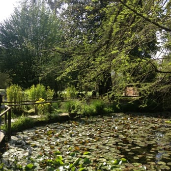 Orto Botanico - Botanical Gardens Near Me - Lucca, LU