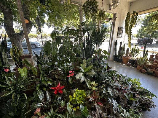 Public Land Store by null