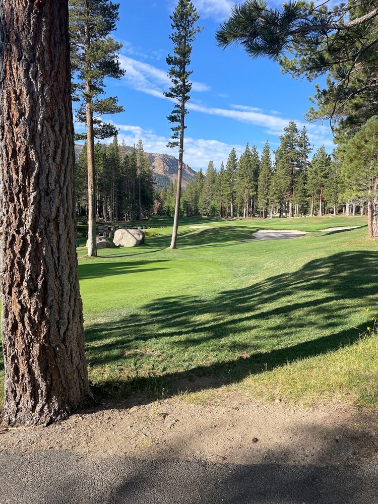 CHIP SHOTS CAFE TEMP. CLOSED Updated May 2024 2001 Sierra Star