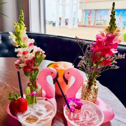 Flamingo Coast