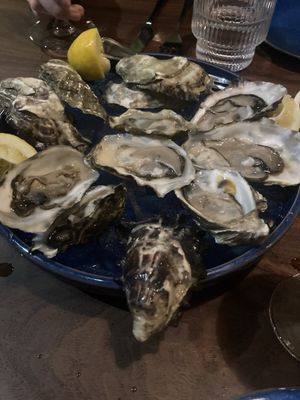 Fisch & Flore by null