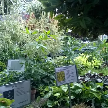 Brumley Gardens - Nurseries & Gardening Near Me - Dallas, Texas