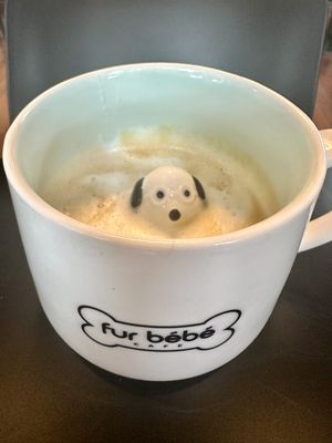 Fur Bébé Cafe by null